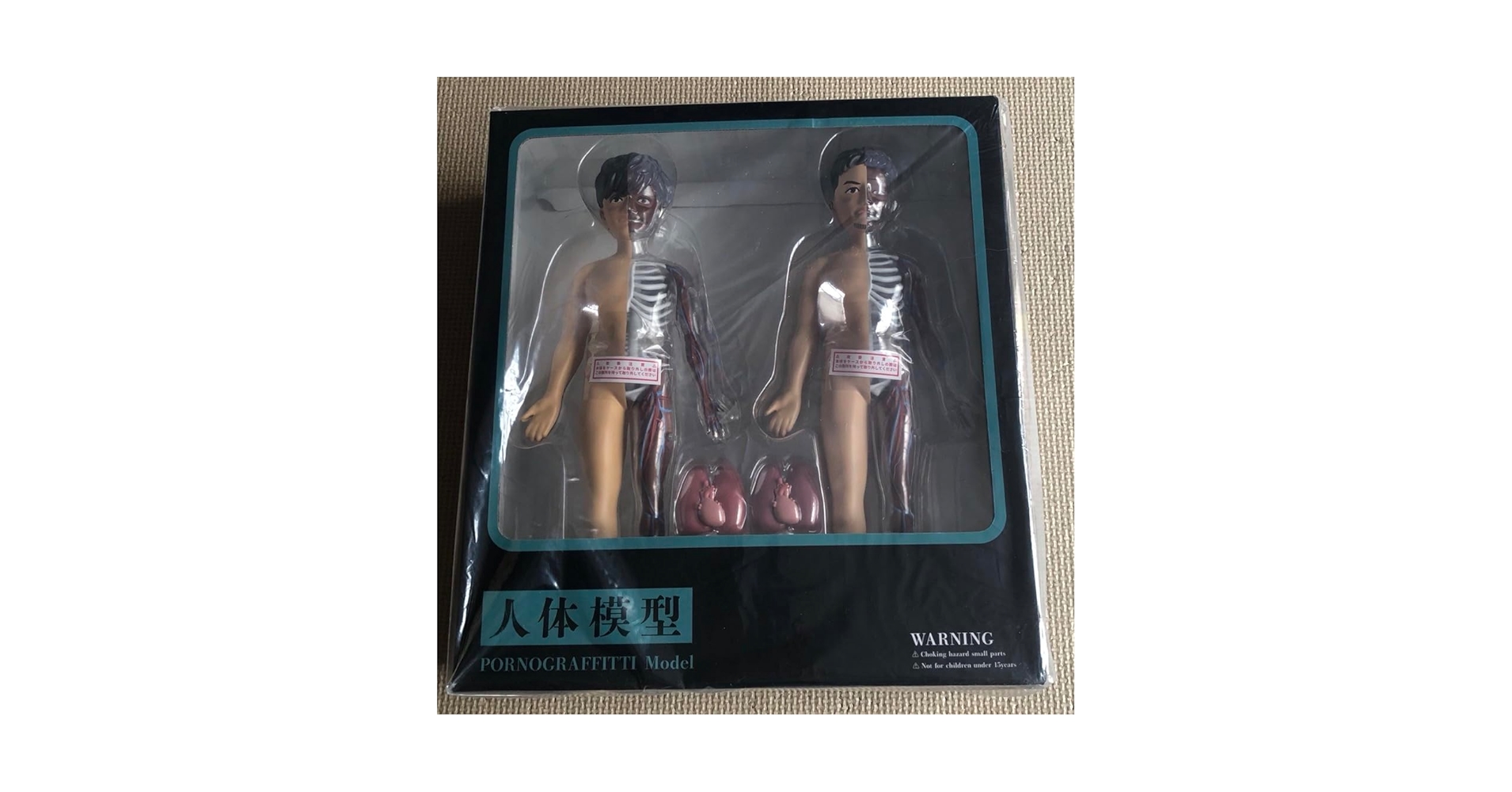 ポルノグラフィティ 人体模型 駿河屋 -<中古>人体模型 ～PORNOGRAFFITTI Model～(2体セット